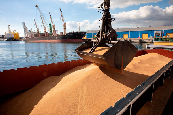 Bulk Carrier