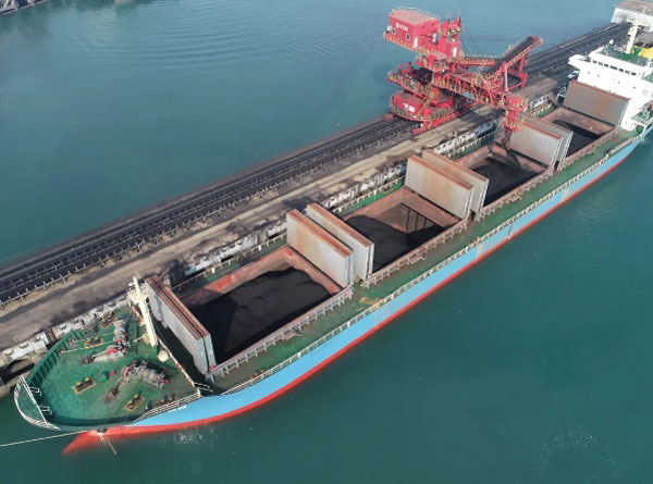 Dry Bulk Carrier